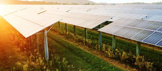 A field with many solar panels on it